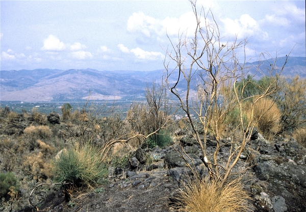 Etna