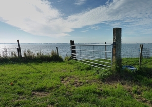 P1030012