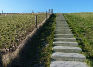 P1060592