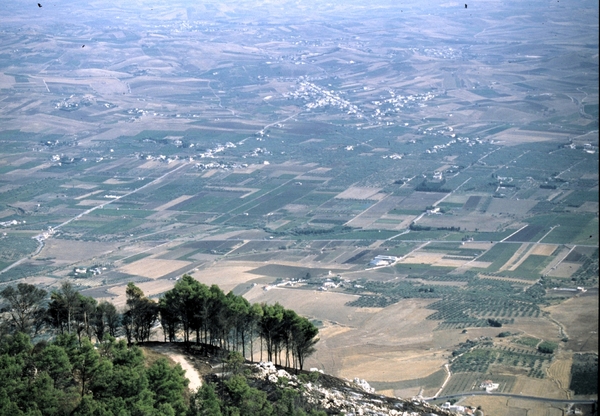 Erice