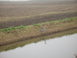 Nieuwpoort september 2010 048