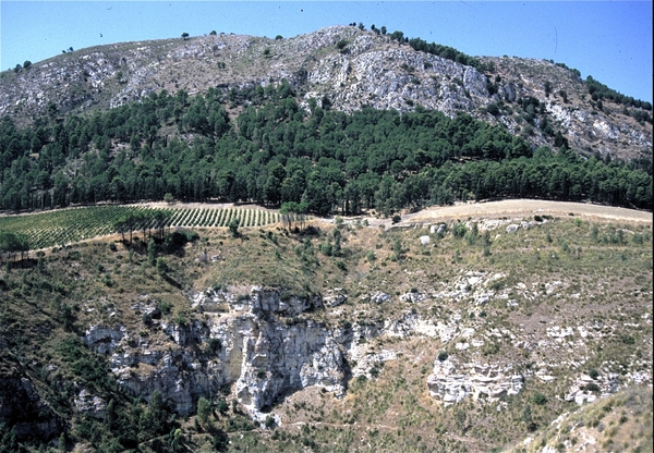 Segesta