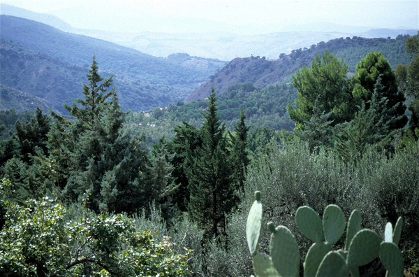 Parco Regionale de la Madonna