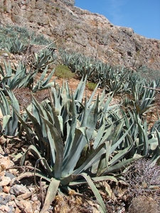 -2010-09-15-Chania 091