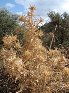 -2010-09-15-Chania 157