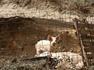 -2010-09-15-Chania 159