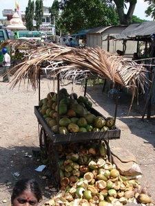kokos-stilleven