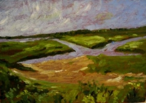 Studie landschap