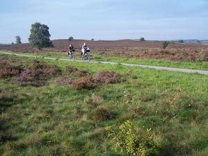 VELUWE 015