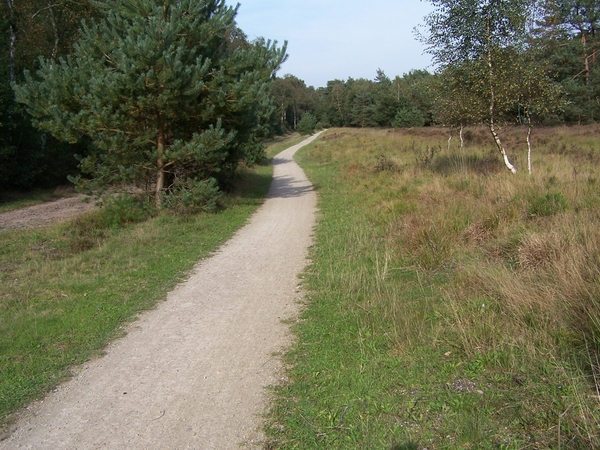 VELUWE 041