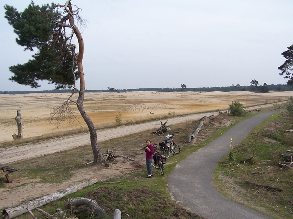 VELUWE 058