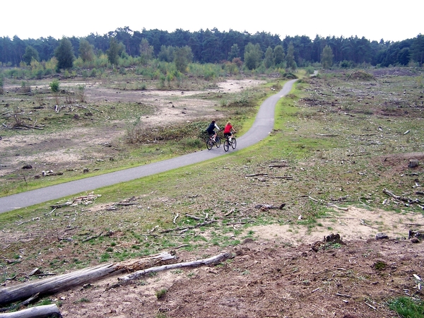 VELUWE 059