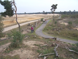 VELUWE 060