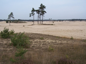 VELUWE 061