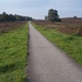 VELUWE 013