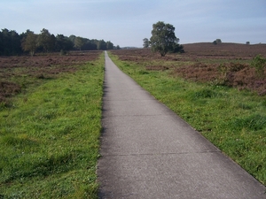 VELUWE 013