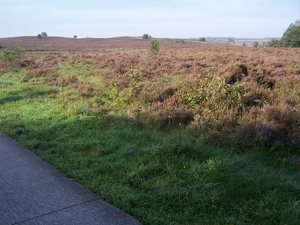 VELUWE 014