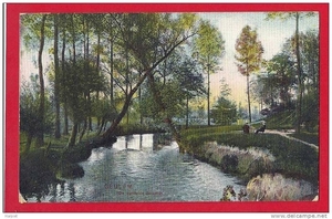 Verliefde bomen 1907