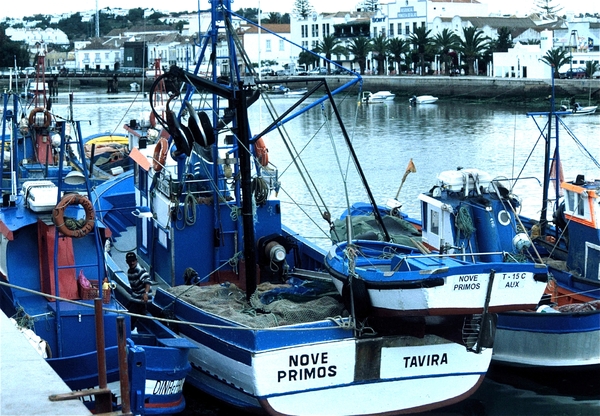 Tavira