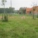 BAMBI'S IN DE WEI