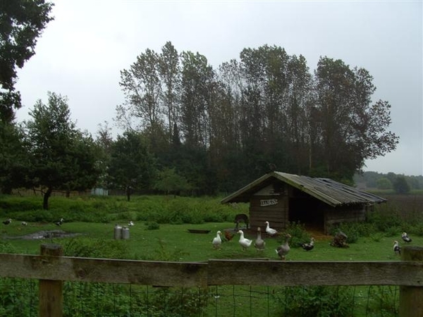 20100930(OLEN) 040 (Small)