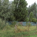 Leisele : achterkant
