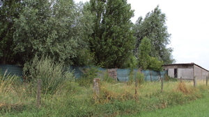 Leisele : achterkant