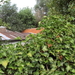 Leisele : zijkant