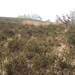 de bosberg 2009 029