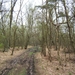 de bosberg 2009 026