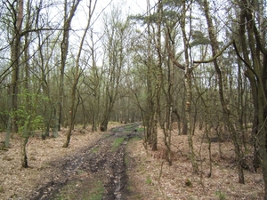 de bosberg 2009 026