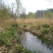 de bosberg 2009 050