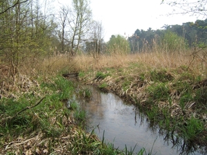 de bosberg 2009 050