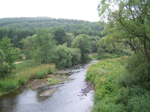 DSCF2341