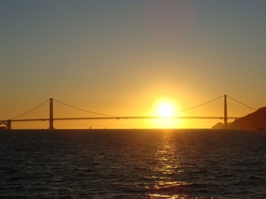 DSC02317