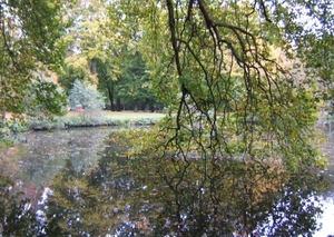 achtergrond domein gellinck