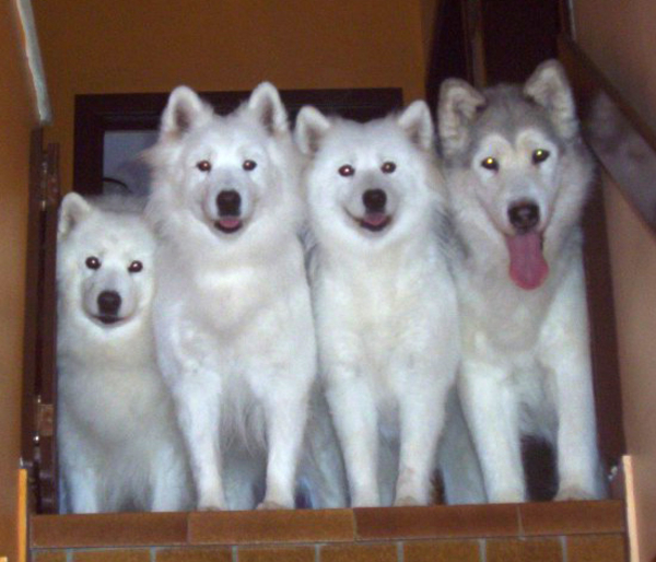 B & Y & A & P boven aan de trap 10-10-03