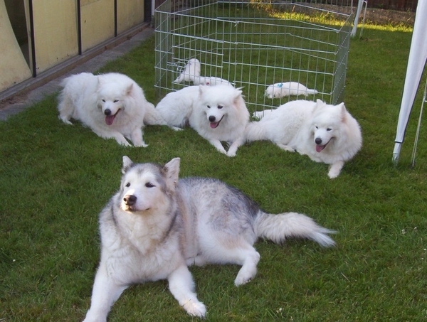 1st keer buiten Paska op kop 15-7