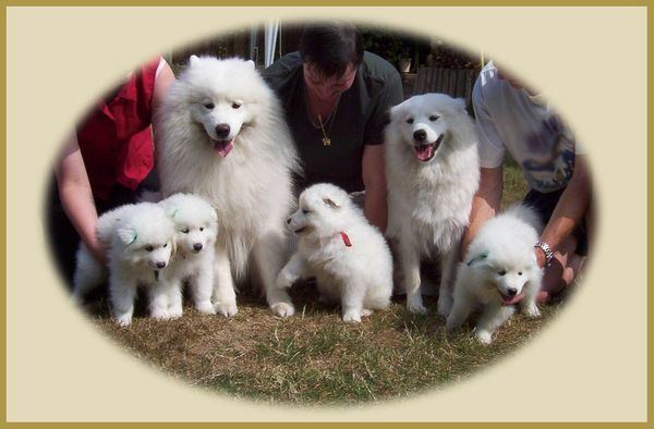 Familie A 13.8.2003