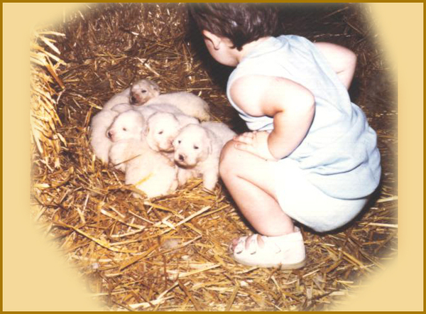 T bij Berroye 3weken 7-1986