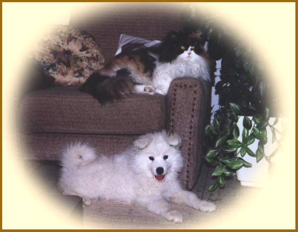 Mayka & Bouchka jan 1996