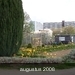 tuin 2006 020