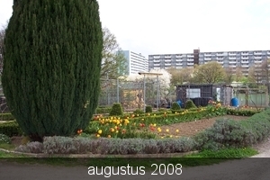 tuin 2006 020