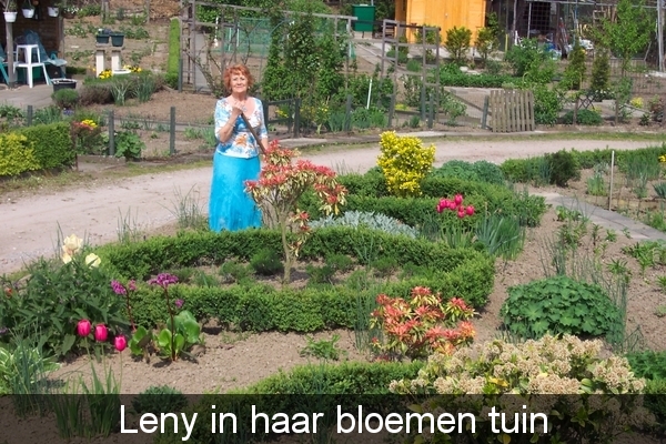 tuin 2006 034