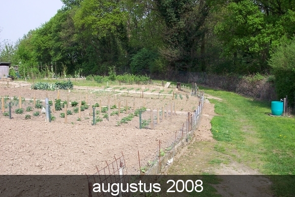 tuin 2006 048