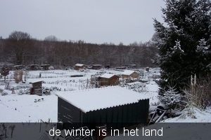 sneeuw tuin 002