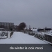 sneeuw tuin 005