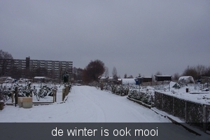 sneeuw tuin 005