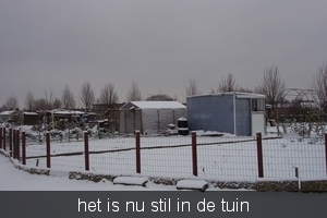 sneeuw tuin 008