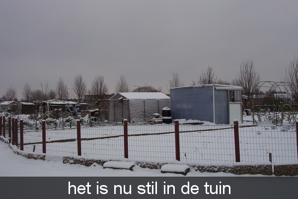 sneeuw tuin 008